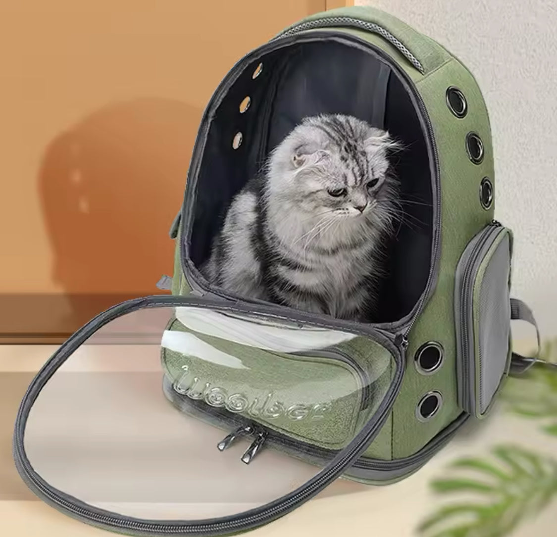 😻 Transparente Haustier-Katzen-Tragetasche – Stylisch unterwegs mit deinem Liebling! 🐾