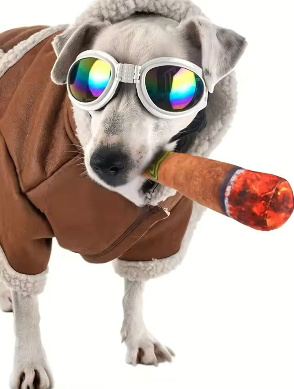 Lustiges Zigarren-Design Hundespielzeug 🐾🤣 | Quietschendes Plüsch-Kauspielzeug für kleine & mittelgroße Hunde!