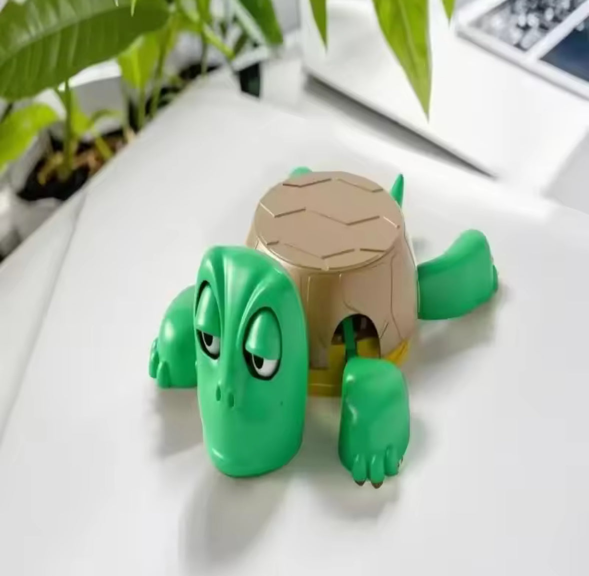 🐢 Schildi™ – Die legendäre Panik-Schildkröte, die ALLES trägt (fast 😅)