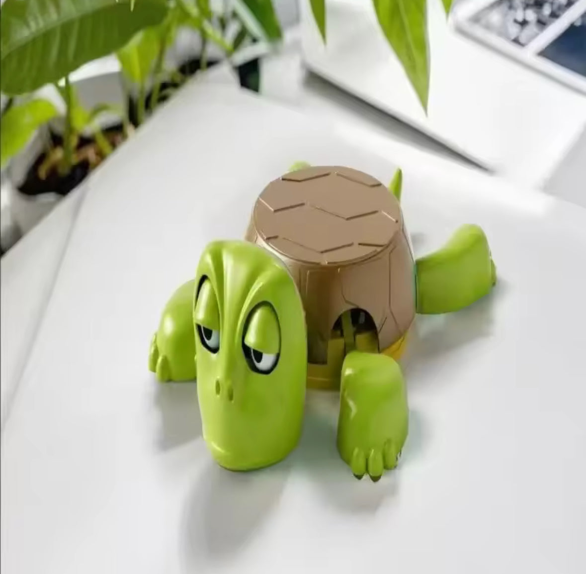 🐢 Schildi™ – Die legendäre Panik-Schildkröte, die ALLES trägt (fast 😅)