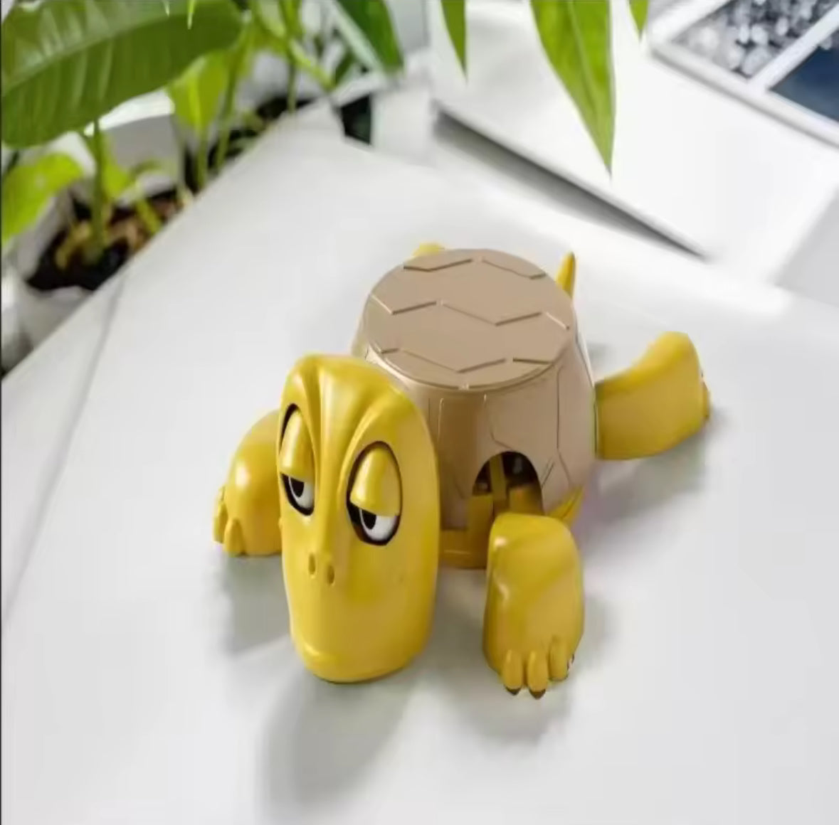 🐢 Schildi™ – Die legendäre Panik-Schildkröte, die ALLES trägt (fast 😅)